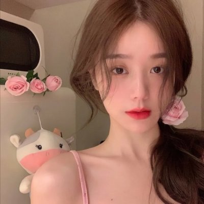 智叻狗仔队